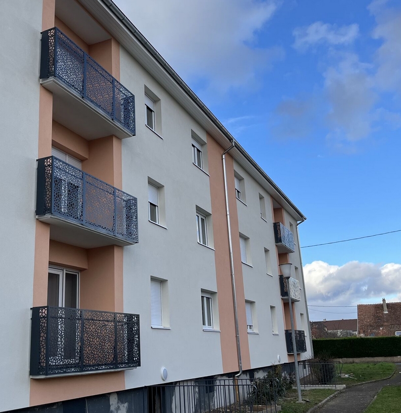 witzenheim tole decorative garde corps acianov opus corium 2