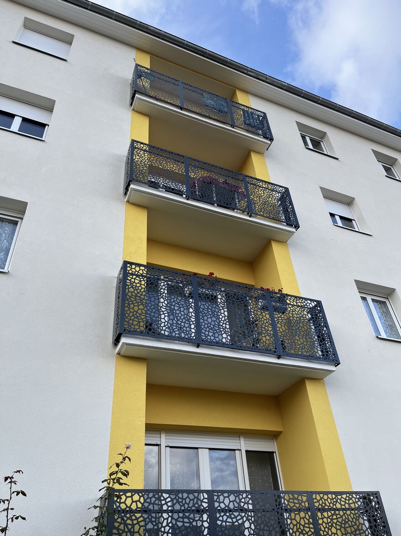 witzenheim tole decorative garde corps acianov opus corium 4