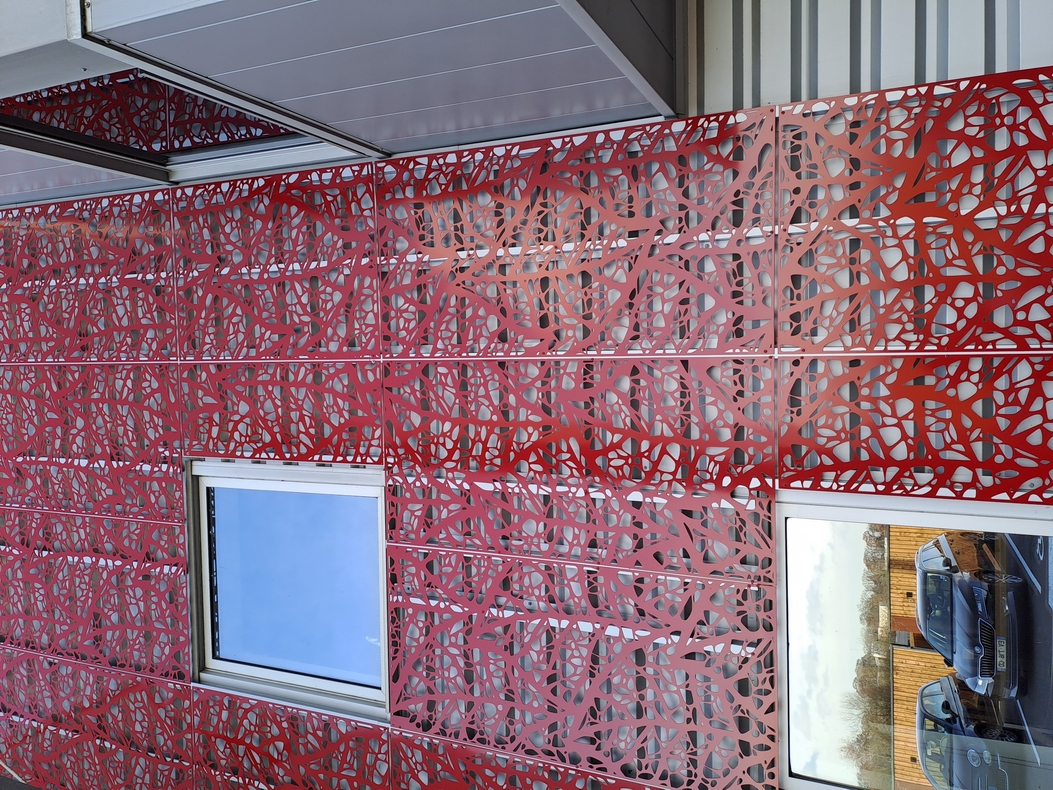 rapidhome tole decorative laser jardin goya acianov resille 1