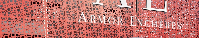 bulles de savoir tole perforee acianov armor encheres 2