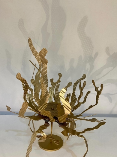 572121945 18174065179365958 6242009014696989240 n