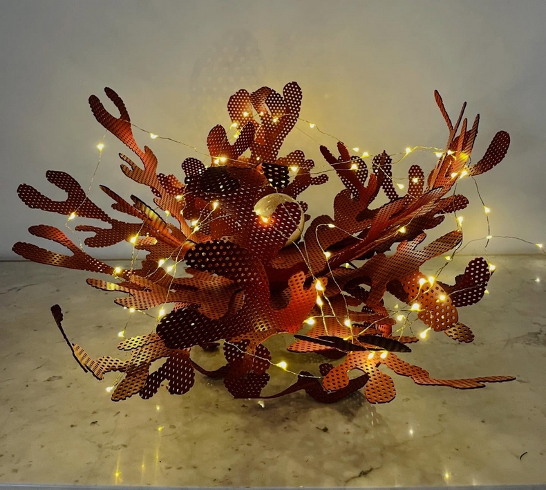 587304250 18177941419365958 3216582821665847559 n